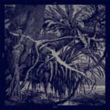 Vyst : Bad News Travel Slowly